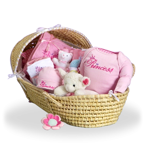 Everything Your Little Princess Needs Pink Deluxe Gift Basket for Girl