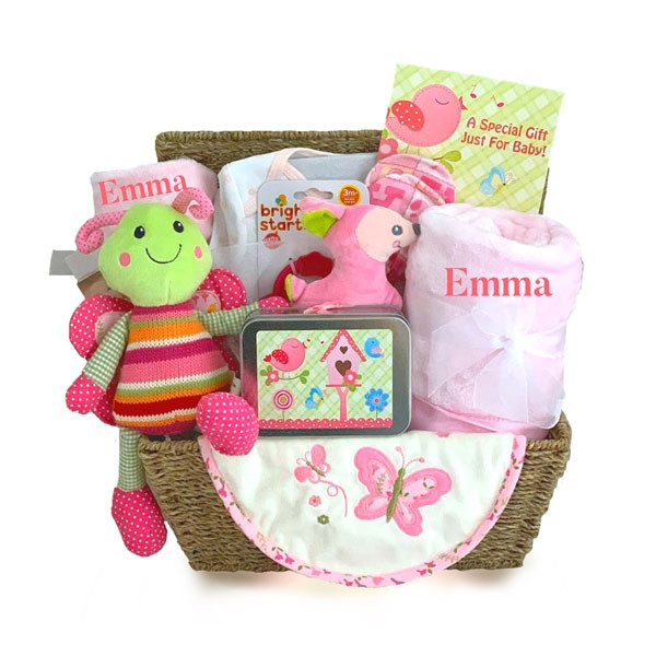 New Baby Girl Personalized Gift Basket with soft minky baby blanket