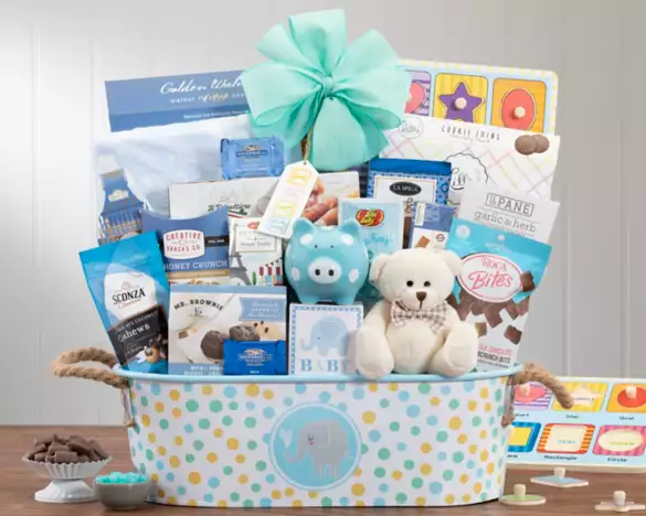 Double Surprise! Baby Boy Gift Basket