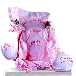 Looking for Bundle of Joy Baby Girl Shower Gift Basket
