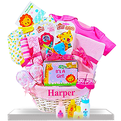 Safari Friends for New Baby Girls Gift Basket