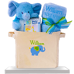 Welcome to the World Baby Boy Gift Tote